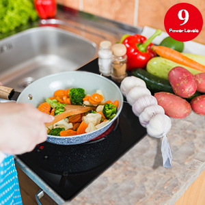 Electric Cooktop 2 Burners 220V~240V 3000W, Built-in 12 Inch Ceramic Cooktop, Cooktop with Hard Wire No Plug